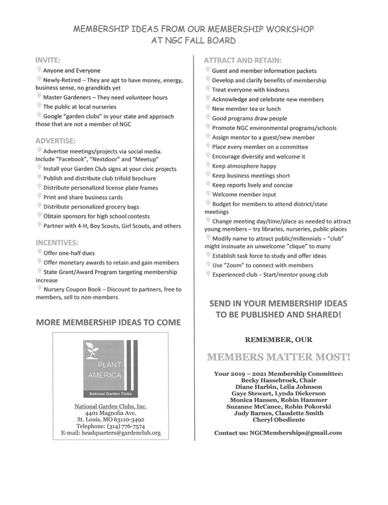 Membership Ideas from Workshop PDF Image
